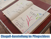 Marc Chagall - Ausstellung im Pflegschloss Schrobenhausen bis 26.06.2011 (Foto. Martin Schmitz)